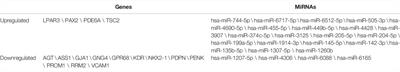 Identification of Key Endometrial MicroRNAs and Their Target Genes Associated With Pathogenesis of Recurrent Implantation Failure by Integrated Bioinformatics Analysis